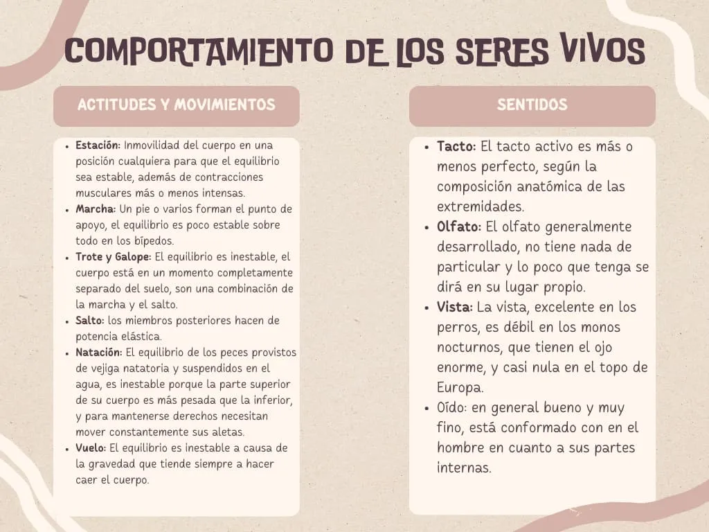 Cuadro comportamiento seres vivos